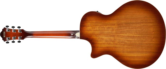 Entire back of the  AE160-VMS