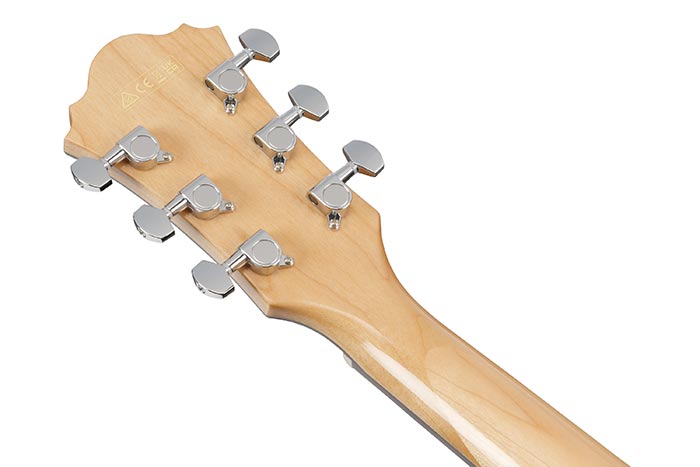 Back of the AE170-NTR's headstock