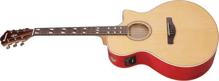 Entire top of the  AE170-NTR