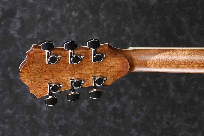 Back of the AE245-NT's headstock