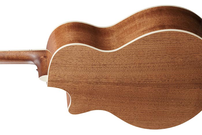 Back of the AE245-NT's body