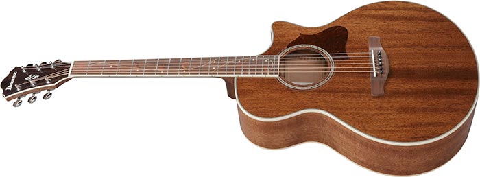 Entire top of the  AE245-NT