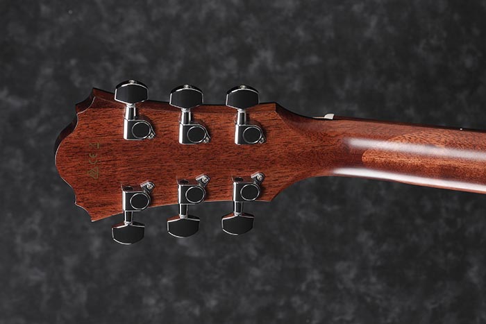Back of the AE275-LGS's headstock