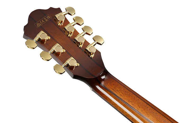 Back of the AE3007FMH-TBH's headstock