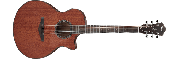 AE PRODUCTS Ibanez guitars