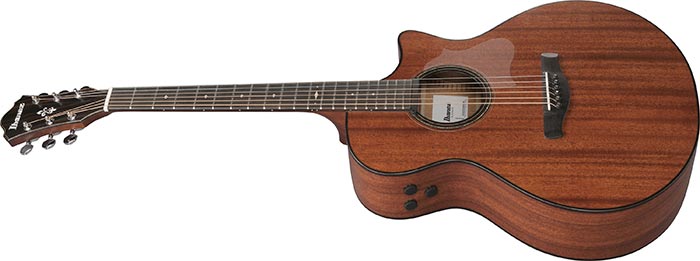 Entire top of the  AE440-LGS