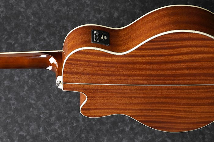 AEB105E ACOUSTIC BASS ACOUSTIC GUITARS PRODUCTS Ibanez guitars