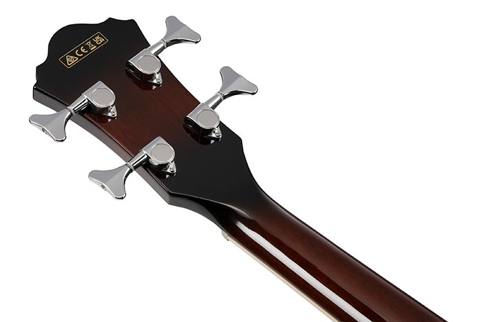 Back of the AEB10E-DVS's headstock