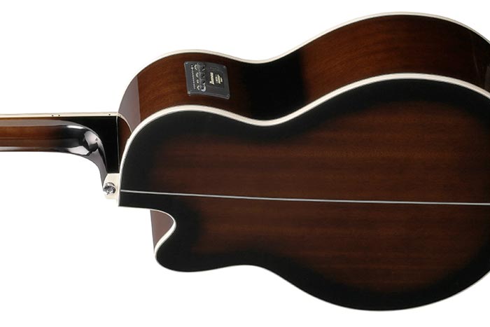 Back of the AEB10E-DVS's body