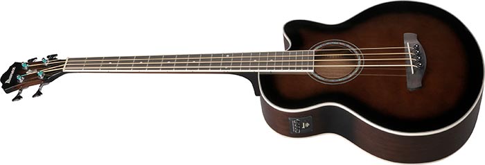 Entire top of the  AEB10E-DVS