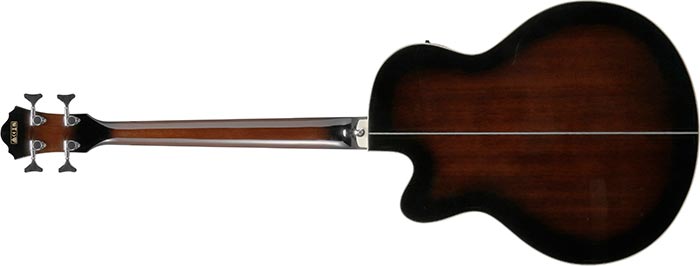 Entire back of the  AEB10E-DVS