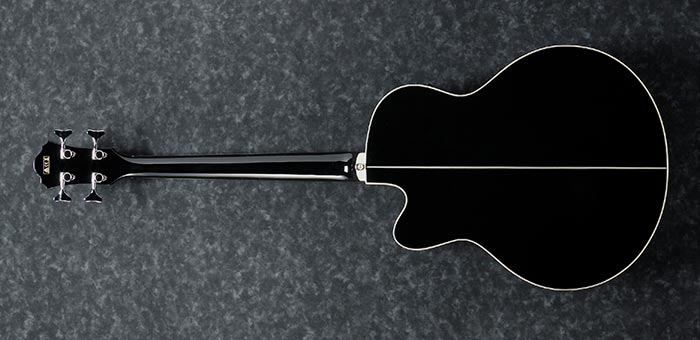 AEB8E ACOUSTIC BASS ACOUSTIC GUITARS PRODUCTS Ibanez guitars