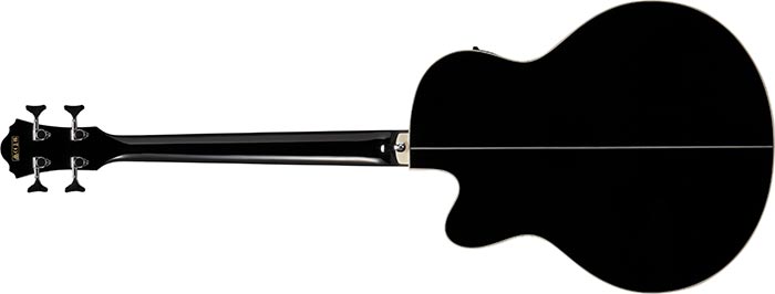 Entire back of the  AEB8E-BK