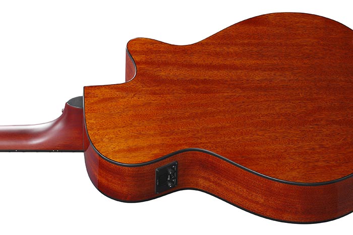 AEG50L AEG ACOUSTIC GUITARS PRODUCTS Ibanez guitars