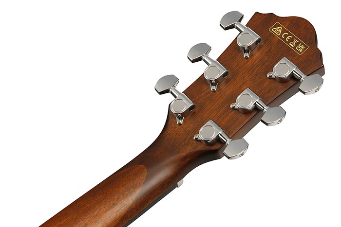 Back of the AEG50L-BKH's headstock