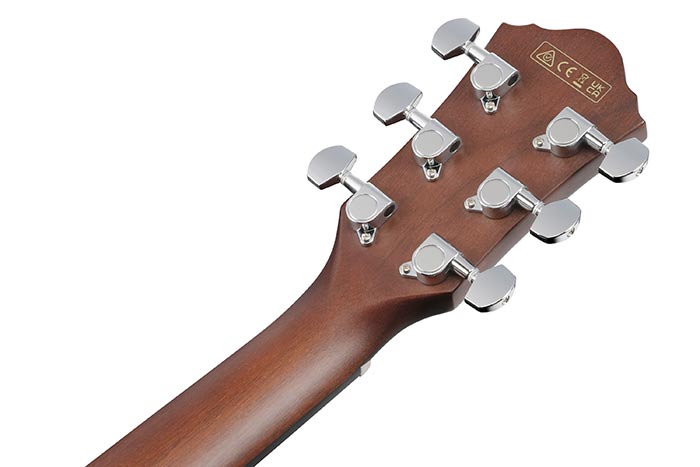 Back of the AEG50L-BKH's headstock