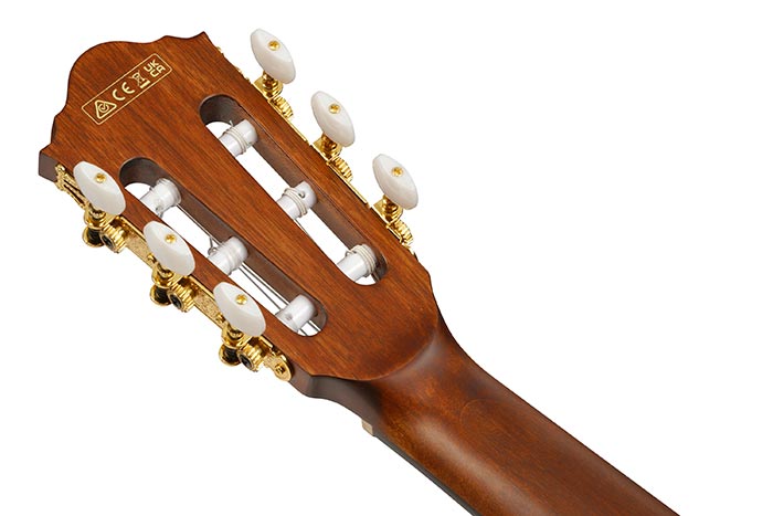 Back of the AEG50N-BKH's headstock