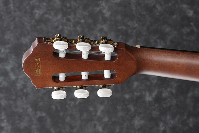 Back of the AEG50N-BKH's headstock