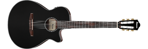 AEG | PRODUCTS | Ibanez guitars AEG | PRODUCTS | Ibanez guitars