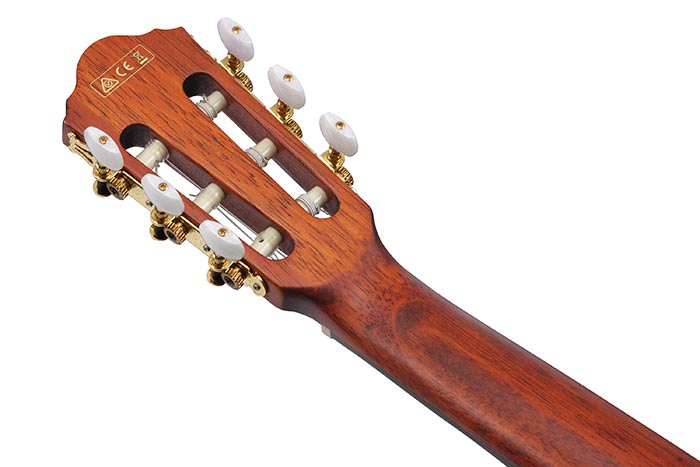 Back of the AEG50N-NT's headstock