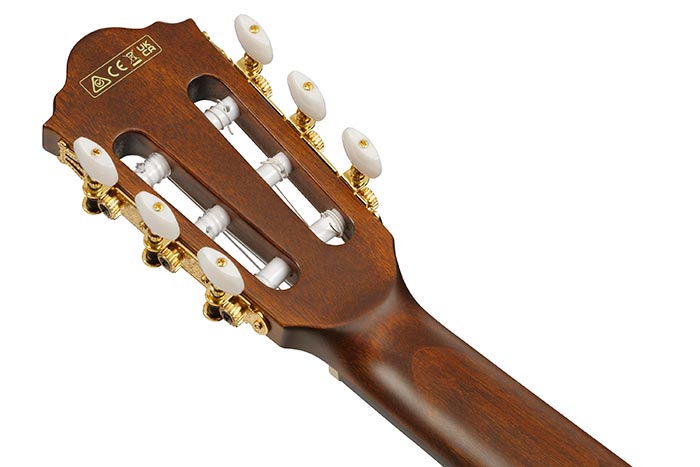 Back of the AEG50N-NT's headstock