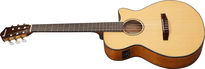 Entire top of the  AEG50N-NT