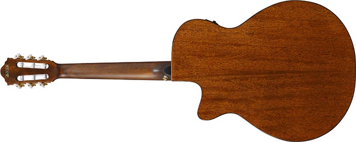 Entire back of the  AEG50N-NT