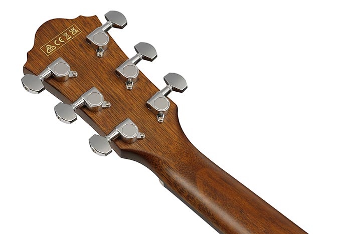 Back of the AEG50-DHH's headstock