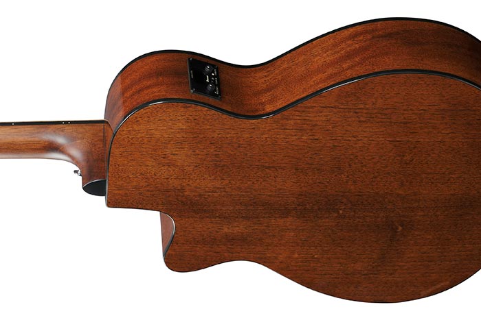 Back of the AEG50-DHH's body