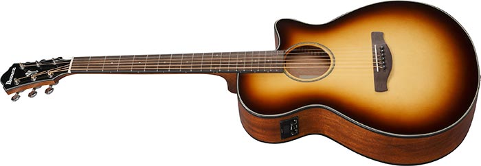 Entire top of the  AEG50-DHH