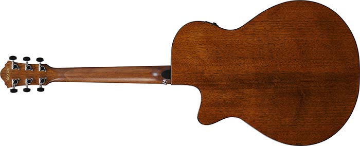 Entire back of the  AEG50-DHH