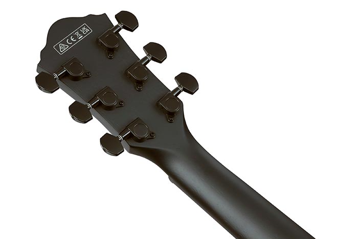 Back of the AEG621-BOT's headstock
