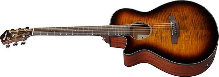 Entire top of the  AEG70L-TIH