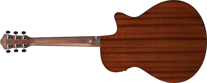 Entire back of the  AEG70L-TIH