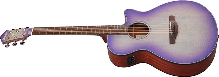 Entire top of the  AEG70-PIH