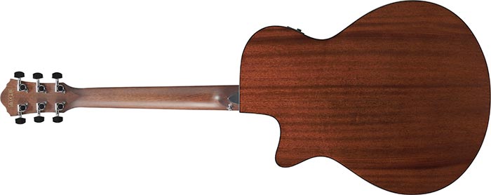 Entire back of the  AEG70-PIH