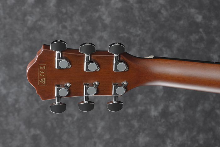 Back of the AEG70-TCH's headstock