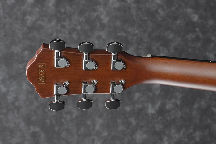 AEG70 AEG ACOUSTIC GUITARS PRODUCTS Ibanez guitars