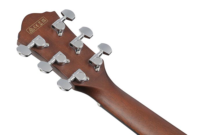 Back of the AEG70-TCH's headstock