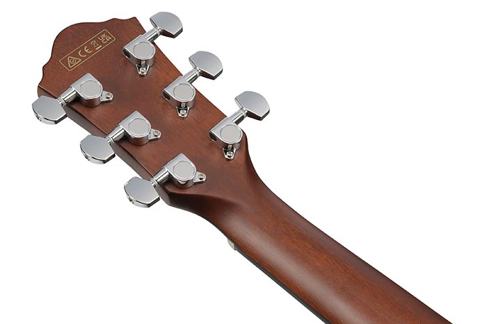 Back of the AEG70-VVH's headstock
