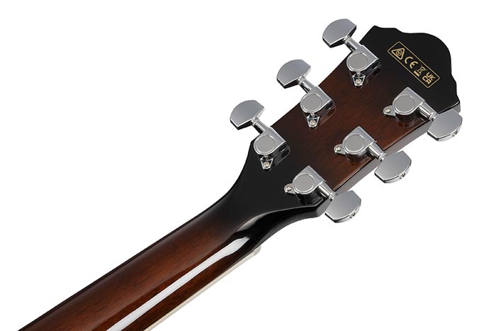 Back of the AEG7L-DVS's headstock