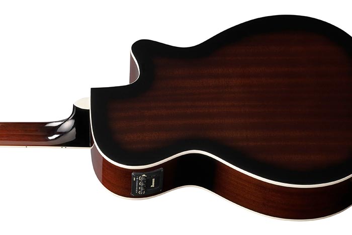 Back of the AEG7L-DVS's body