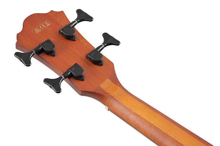Back of the AEGB24E-BKH's headstock