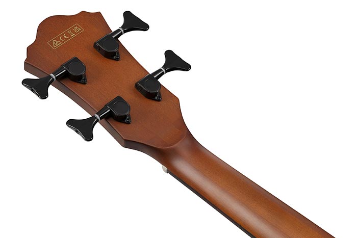 Back of the AEGB24E-BKH's headstock
