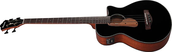 AEGB24E | ACOUSTIC BASS | ACOUSTIC GUITARS | PRODUCTS | Ibanez guitars