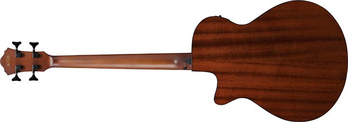 Entire back of the  AEGB24E-BKH