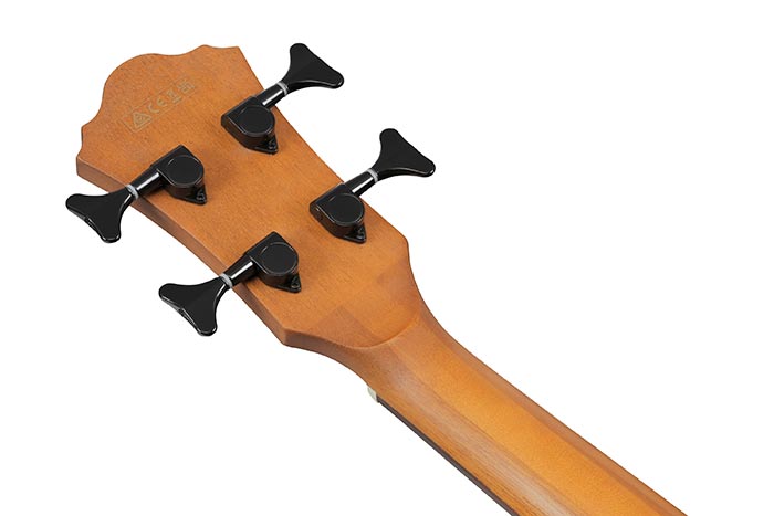 Back of the AEGB25E-TKH's headstock