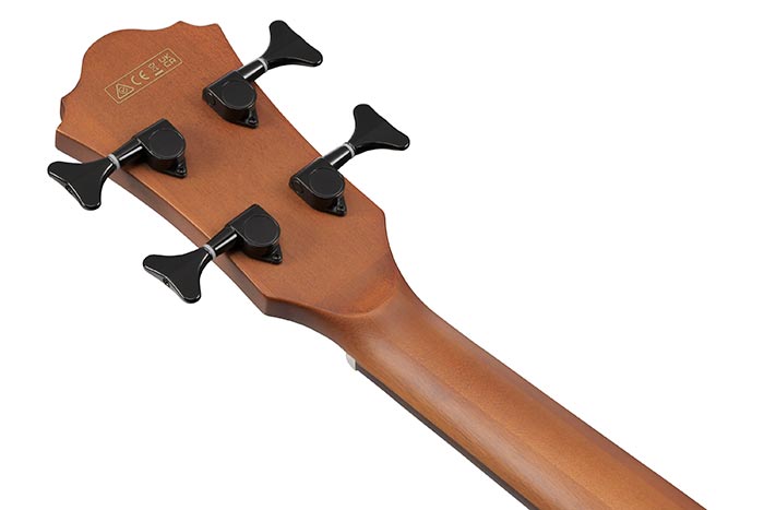 Back of the AEGB25E-TKH's headstock