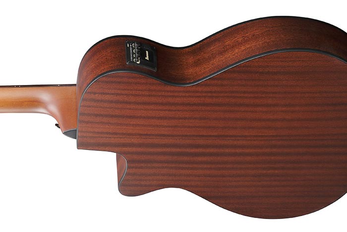 Back of the AEGB30E-NTG's body