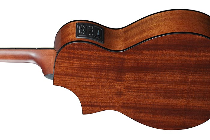 Back of the AEWC11-DVS's body